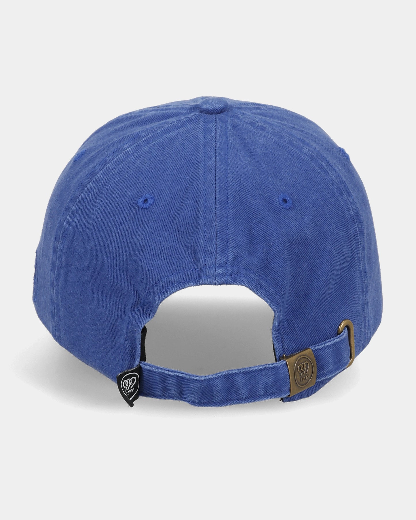 Casquette de papa bleue personnalisée pour animaux de compagnie