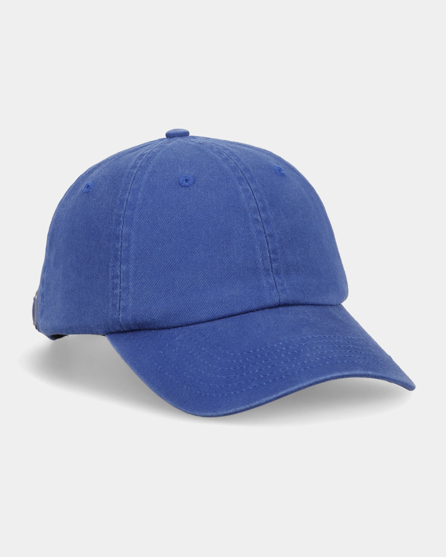 Casquette de papa bleue personnalisée pour animaux de compagnie