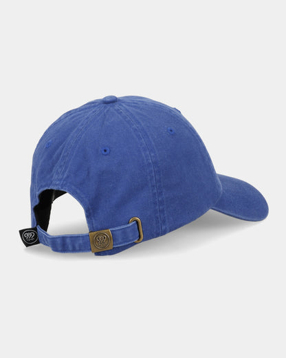 Casquette de papa bleue personnalisée pour animaux de compagnie